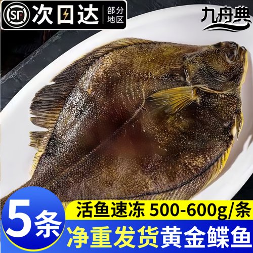 1斤1条新鲜黄金鲽鱼整条商用批发