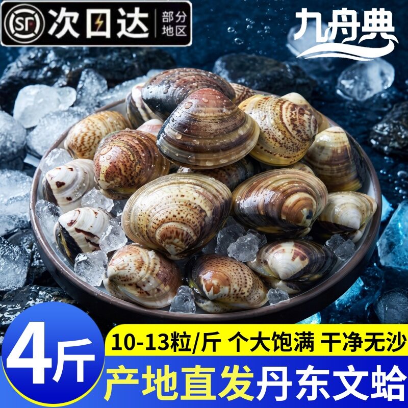 九舟典丹东文蛤冷冻无沙产地直发