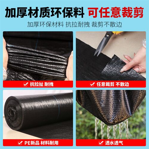 防草布除草布耐用地钉新型地布果树专用厂家直销农用打孔PE