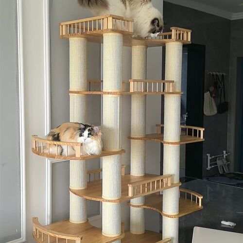 猫爬架实木大猫专用猫窝猫树一体不占地猫爬架家用大型豪华