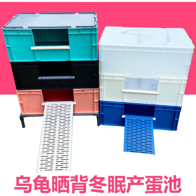 乌龟晒台乌龟产蛋池移动式独立繁殖池沙池可拆卸爬梯产蛋板周转箱