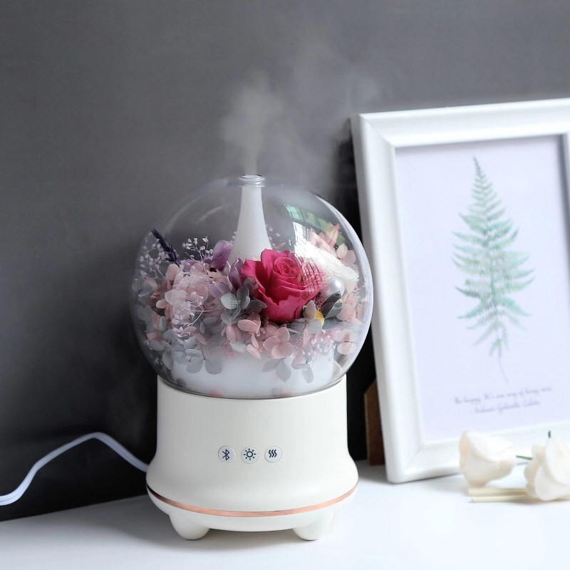 蓝牙音响加湿器空气净化家居小夜灯雾化器香薰机永生花diy材料包