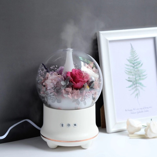蓝牙音响加湿器空气净化家居小夜灯雾化器香薰机永生花diy材料包