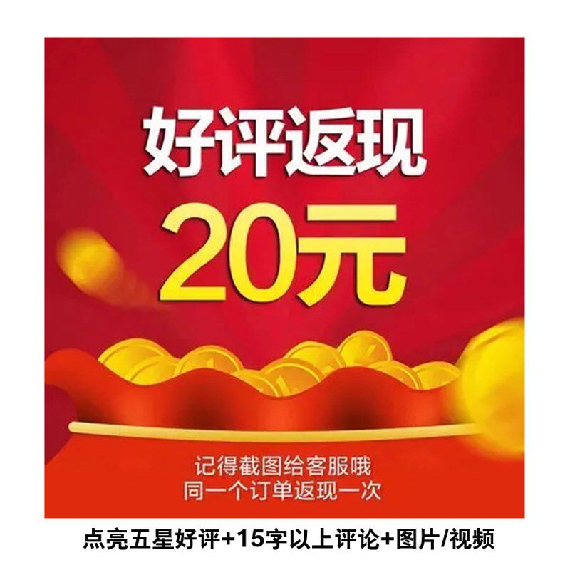 TELUN12V/24V 14.6V 40A行车充电器房车锂电池副电动车载升压隔
