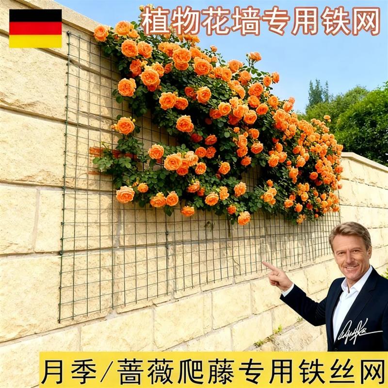 月季爬藤花墙架专用铁丝网花架蔷薇花植物爬墙固定网格壁挂爬藤架图片