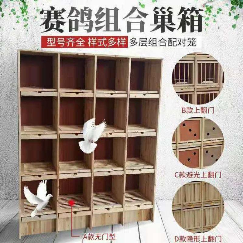 信鸽巢箱组合赛鸽子笼子木质鸽具大号养殖配对笼实木种鸽笼大款木
