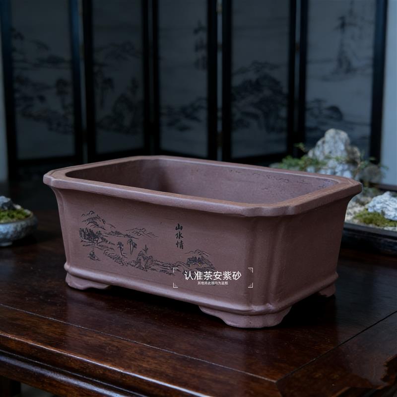 宜兴紫砂花盆海棠盆景多肉植物花卉盆栽紫泥陶瓷长方形盆景长方
