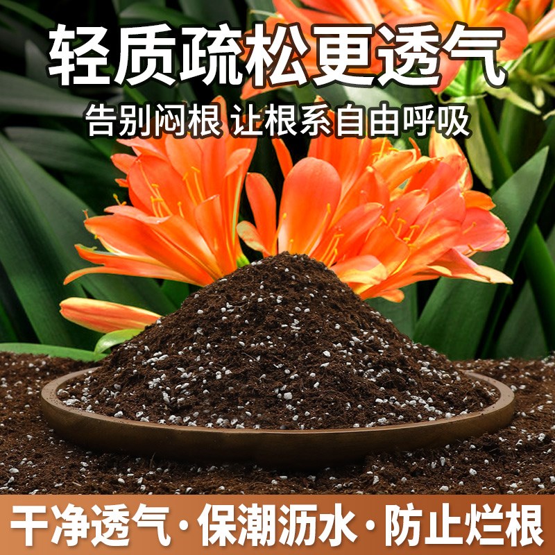 君子兰专用土兰花通用型营养土盆栽花卉有机种植土壤养花泥土肥料
