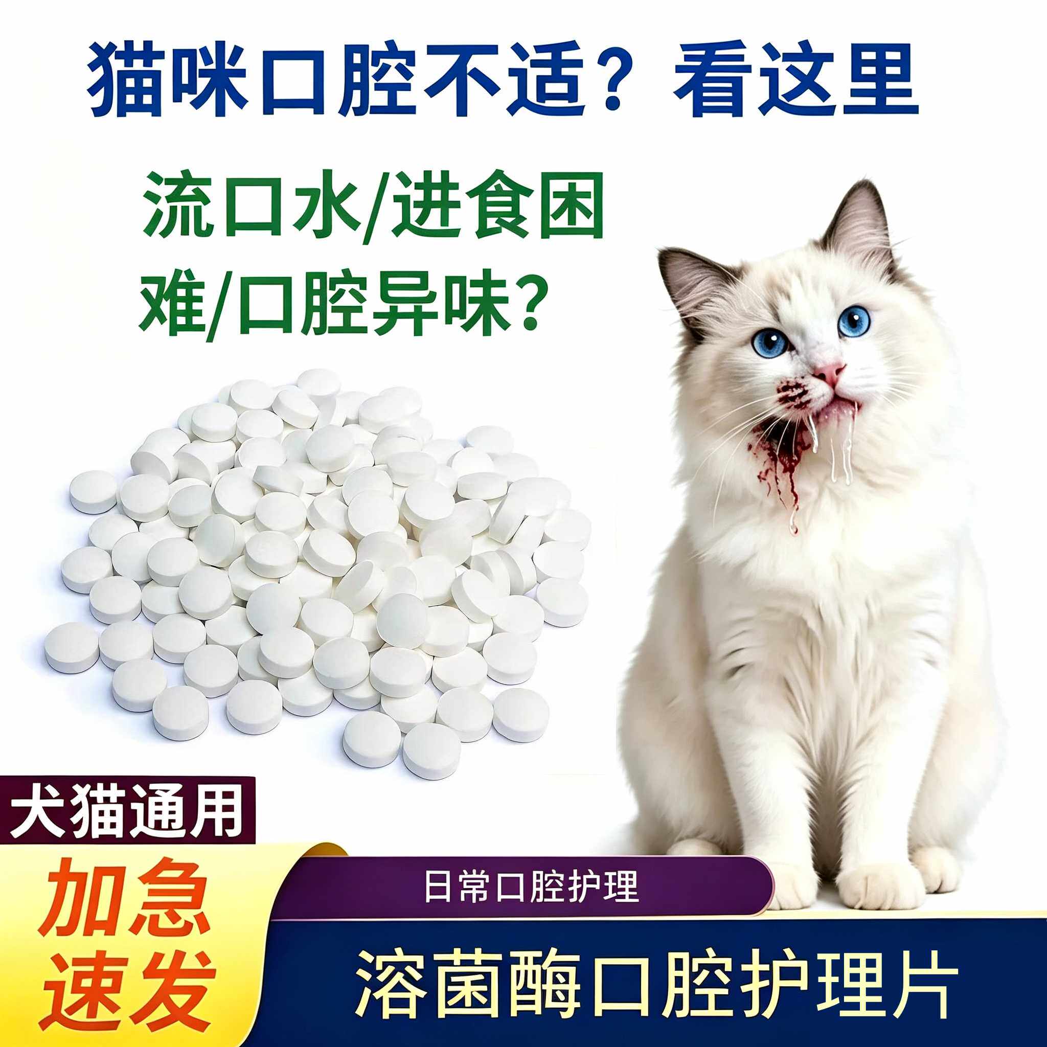 猫咪口清片炎溶菌酶口腔护理片流浪猫流口水口臭进食困难口腔异味