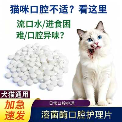 猫咪口清片炎溶菌酶口腔护理片流浪猫流口水口臭进食困难口腔异味