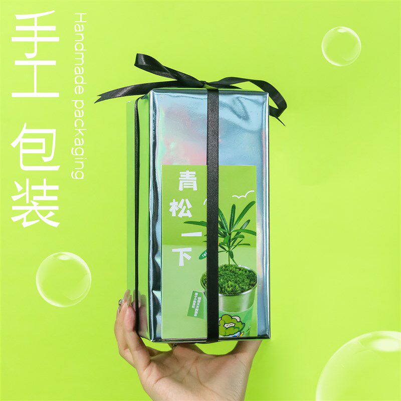涂鸦造物 罗汉松姬月季办公室绿植桌面盆栽伴手礼物放青松