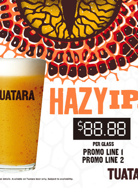 进口精酿新西兰大蜥蜴Tuatara 浑浊IPA330ml罐啤酒喜力旗下高端酒