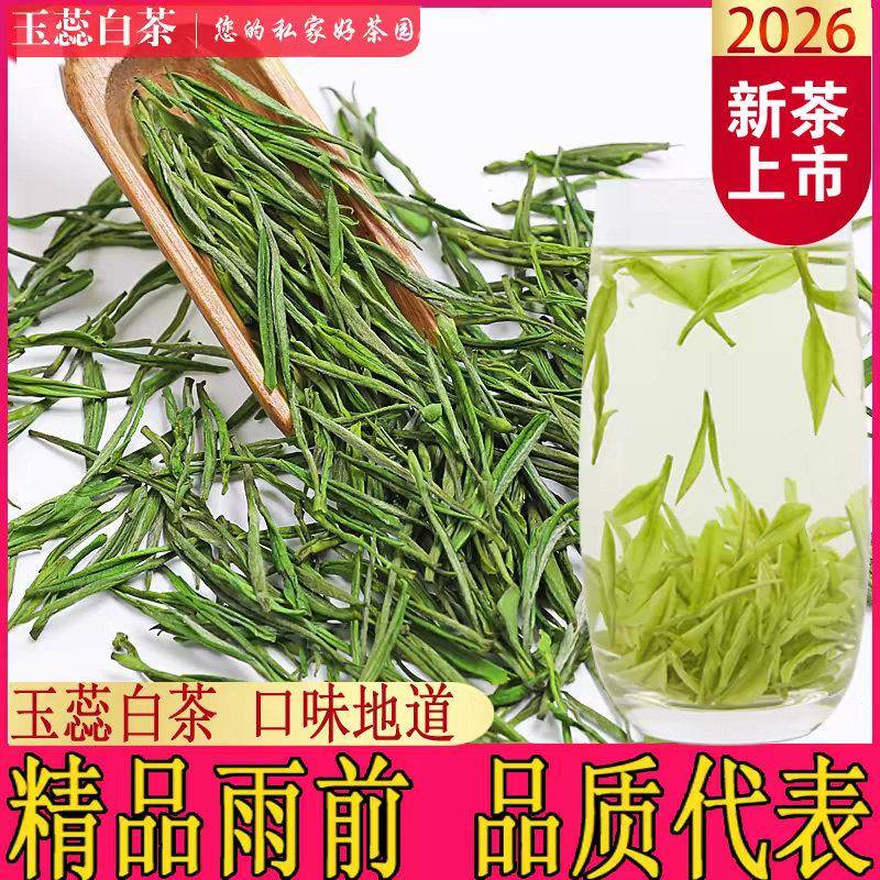 安吉玉蕊白茶2026新茶特级雨前绿茶精品高山珍稀叶散装250g罐装茶