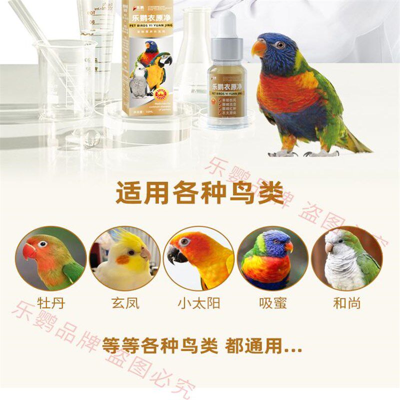 鹦鹉眼病单眼伤风息肉一滴灵眼睛流泪闭眼玄风虎皮眼药水鹦鹉专用