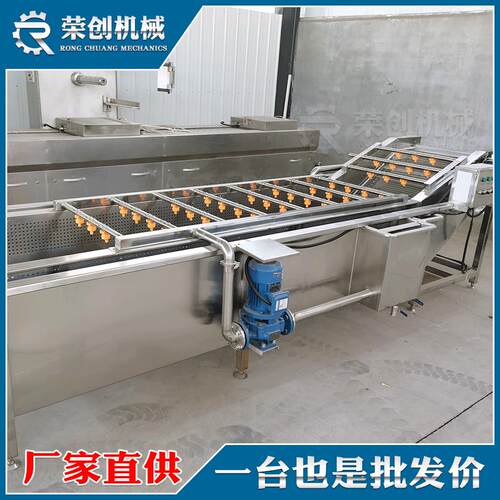 洗机 蓼大青叶喷淋冲浪清洗机 牡荆叶气泡洗菜机工厂直供