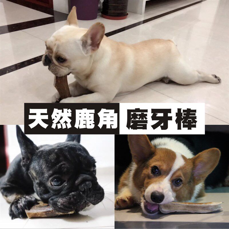 狗零食柯基法斗英斗巴哥柯基磨牙棒骨头耐咬补钙鹿角幼犬洁齿玩具