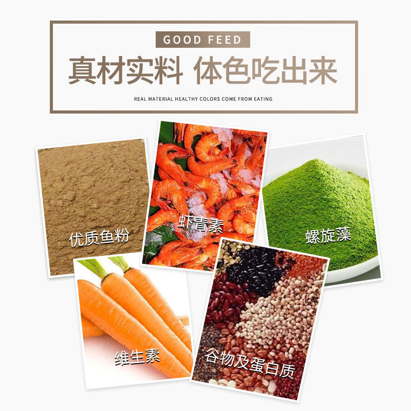锦鲤鱼食金鱼饲料大颗粒通用型增色不浑水观赏鱼粮专用上浮型鱼料