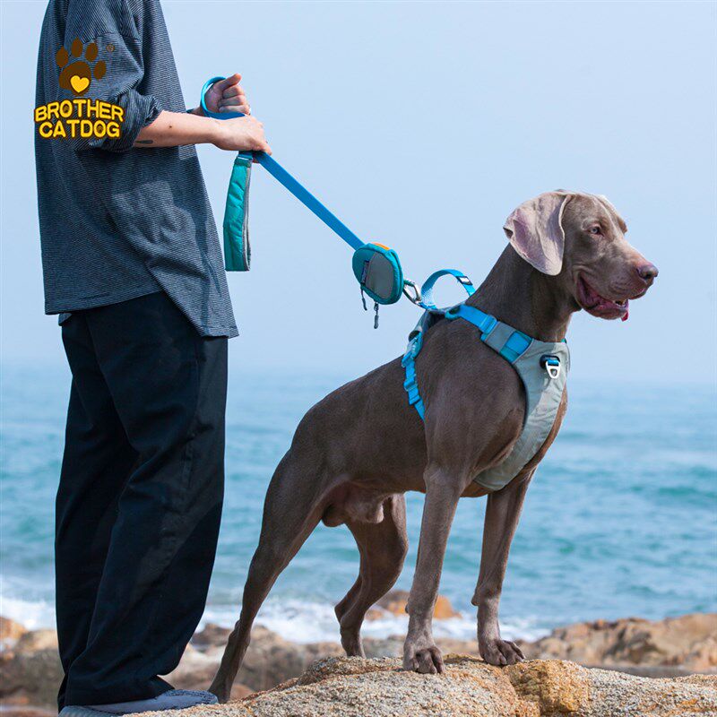 狗狗牵引绳小型中大型犬狗链子狗绳宠物胸背带套装宠物用品遛狗