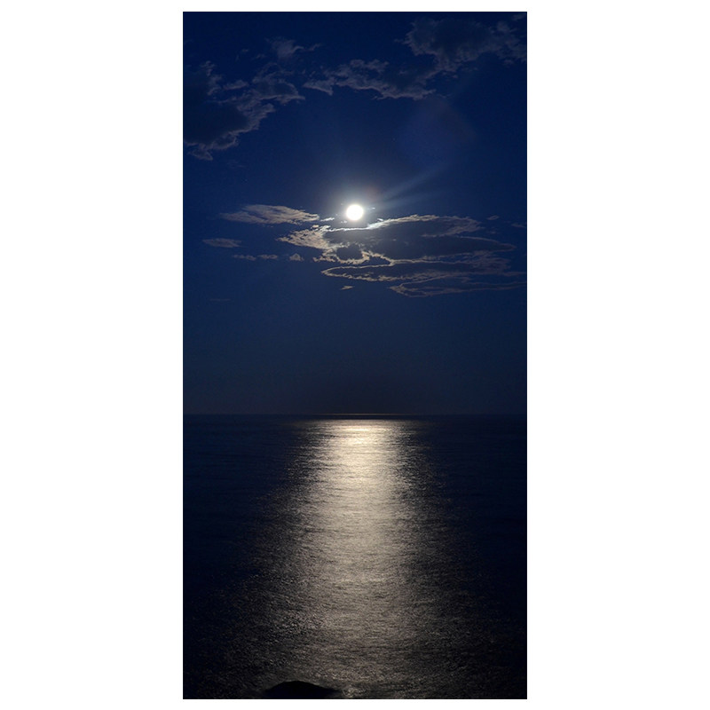 金星合月大海夜空海面满月海上升明月房间玄关挂画无框画装饰画