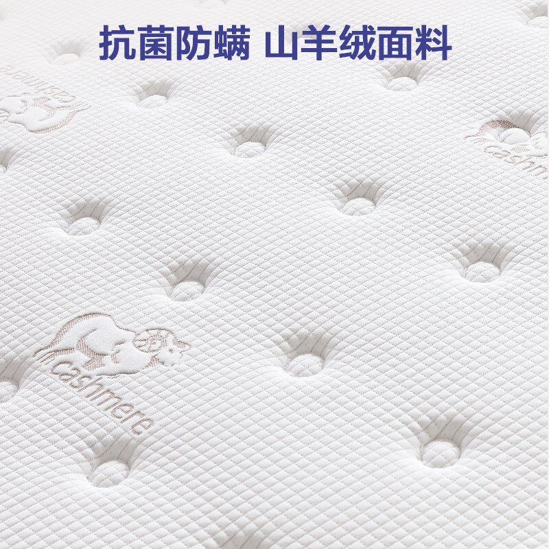 家用椰棕床垫子偏硬护脊腰纯天然环保粽榈薄乳胶1.8m老人儿童定制