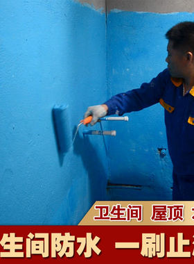 卫生间水池鱼池专用防水涂料厕所洗手间外墙屋顶防漏漆防水材料