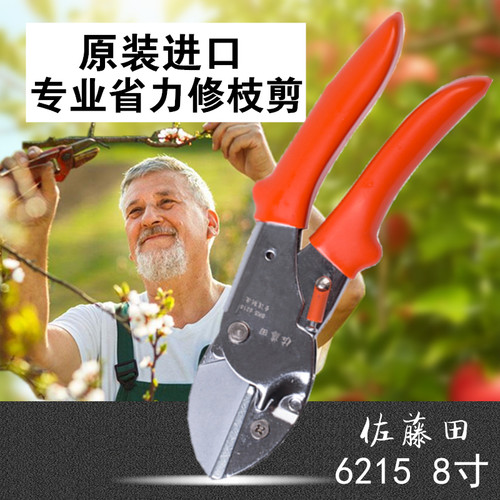 果树省力修枝剪刀园艺剪刀粗枝修枝剪花木园林剪枝剪刀树枝果树剪