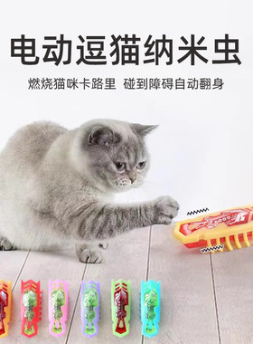 猫玩具电动纳米虫电子老鼠宠物蟑螂逗猫玩具猫咪自嗨解闷消耗体力