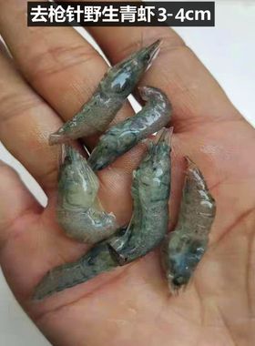 包邮冷冻泥鳅麦穗单冻增色观赏鱼河虾虾仁新鲜龙鱼虎鱼魟鱼食新鲜