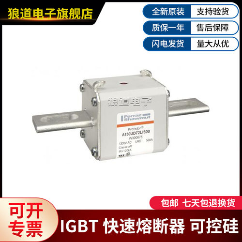 A130UD72LI500-W300675 A130UD72LI550-X300676罗兰快速熔断器