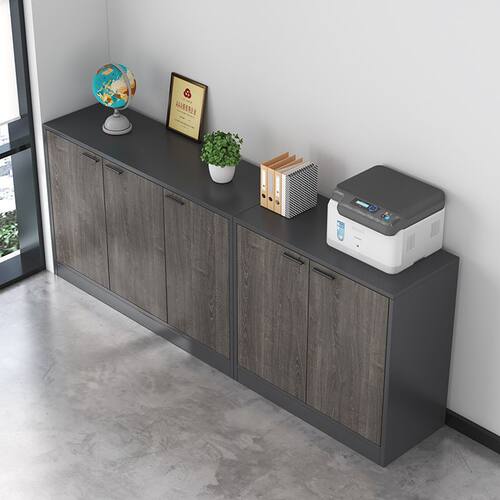 办公室家用落地文件收纳矮柜