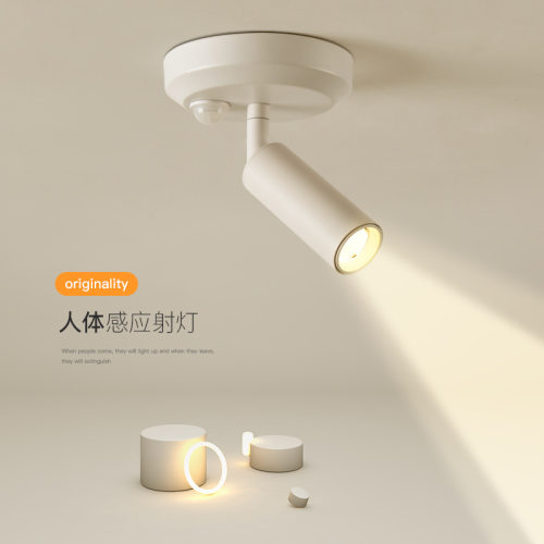 简约现代明装人体感应LED射灯