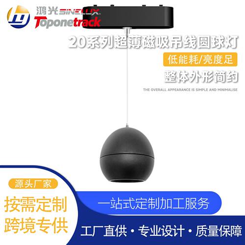 48V超薄20mm磁吸系统 吊线圆球灯 蓝牙涂鸦led射灯商照MT-C02F12Y