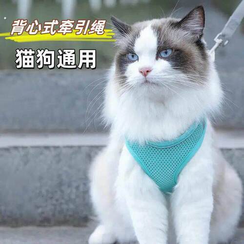 猫咪牵背心式引绳小猫咪背带猫咪牵引绳狗狗牵引绳狗狗背带布偶绳