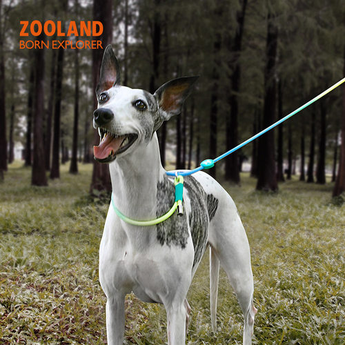 ZOOLAND狗狗牵引P绳小中大型犬遛狗防爆冲专业训练赛级用可调节款