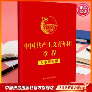 中国共产主义青年团章程团徽团支部团员共青团从严治团团员手册9787521633870