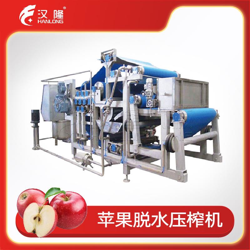 厂家直销DYJ系列大型工业带式榨汁机苹果蔬菜水果全自动脱水压榨