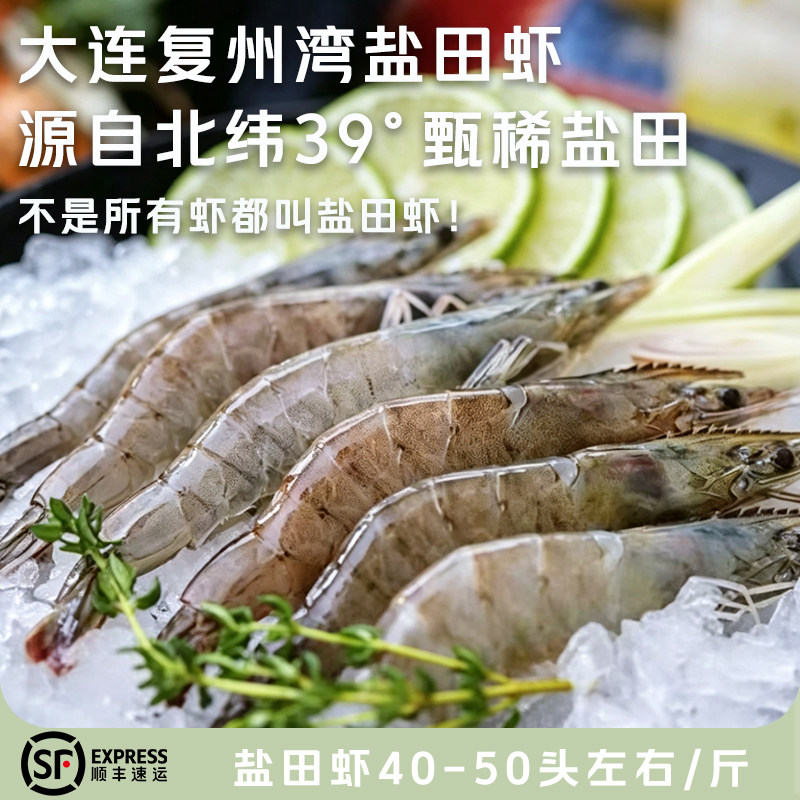 大连复州湾盐田虾3斤盐场直发渤海湾水产鲜活速冻鲜对虾40-50规格图片