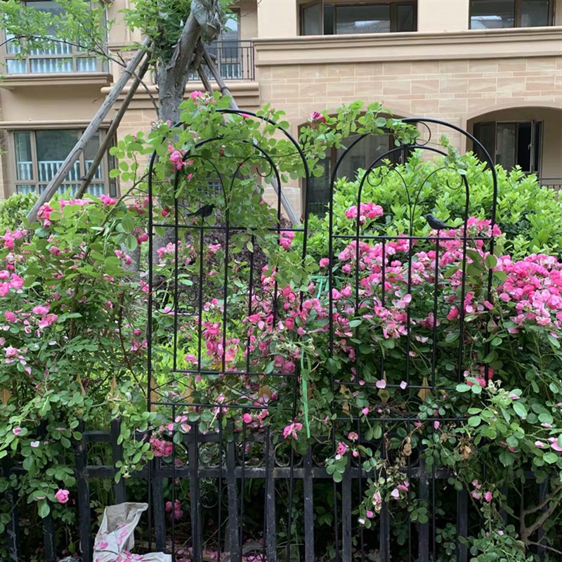 绿萝花架月季花爬藤架子插地蟹爪兰植物支撑杆铁艺多层园艺支架柱图片