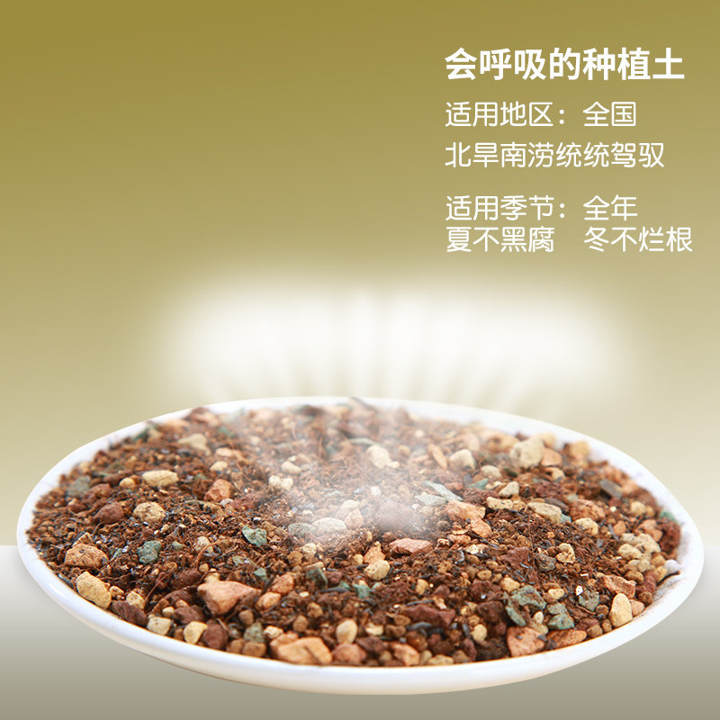 多肉植物营养土泥炭种植土彩色铺面石子颗粒土赤玉土多肉土