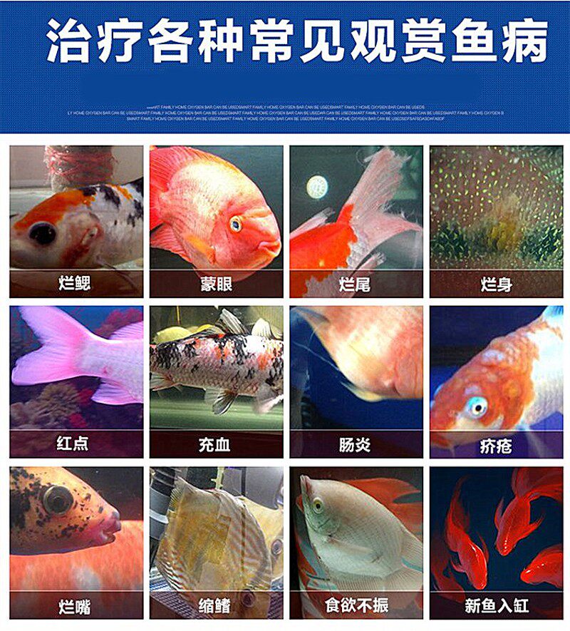 贝克灵森新款硝化细菌硝化菌鱼缸净水剂清澈药剂鱼药水族水质净化