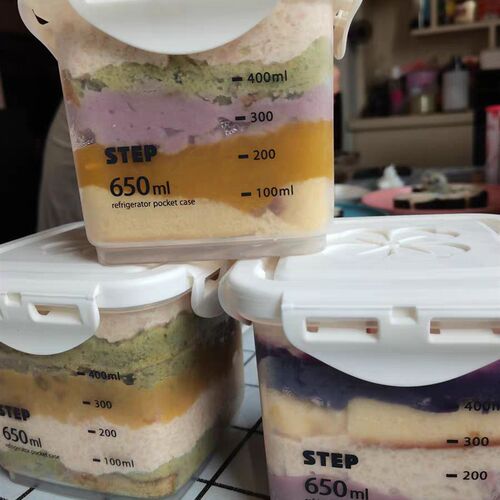 650密封罐储物罐食品级pp5保鲜盒五谷杂粮收纳奶酪罐子包装盒16个