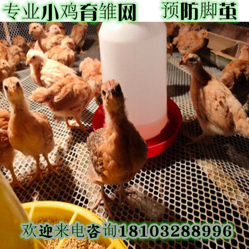 小孔塑料网格养殖网养鸡漏粪围栏护栏防护网养蜂养鸭育雏塑料平网