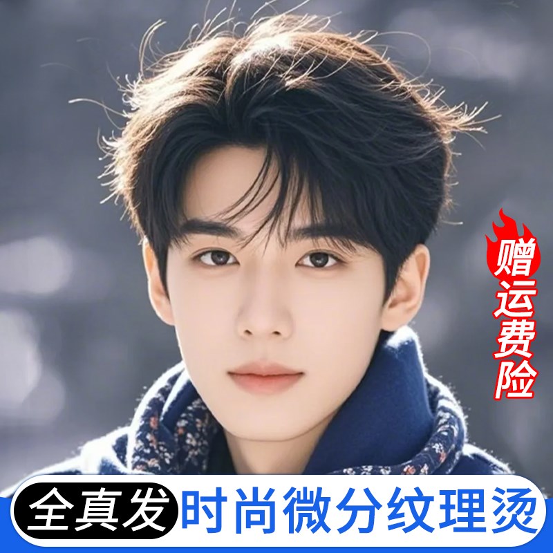 假发男微分纹理全头套式时尚自然全真人发丝遮白发蓬松男士假发套