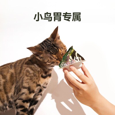 尾巴生活野兽Cup小罐头掰掰杯彩虹泥主食罐全价成猫幼猫肉罐头