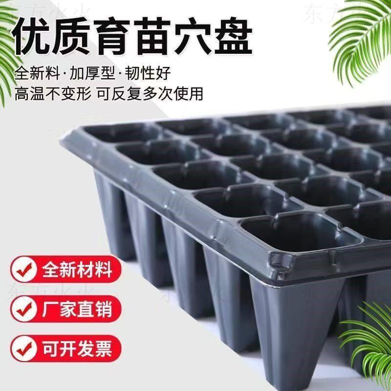玉米育苗专用盘菜苗育苗盘种菜专用育苗杯穴盘塑料蔬菜种植杯神器
