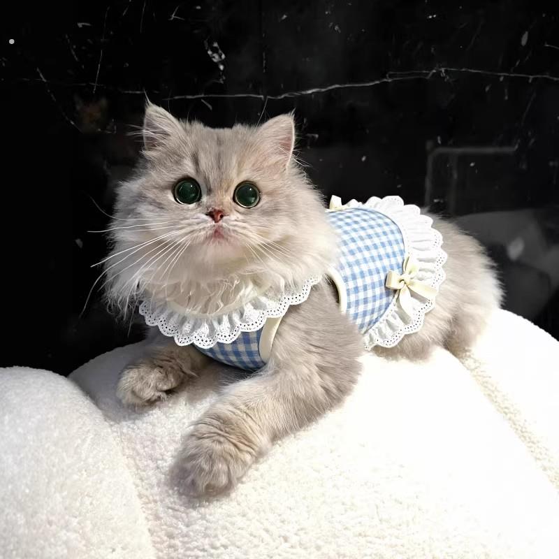 宠物猫咪衣服薄款夏天春装公主风防掉毛狗狗衣服小型犬2026新款