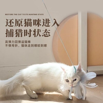 猫咪弹力伸缩仙女逗猫棒逗猫羽毛消耗体力可伸缩弹力球响纸猫玩具