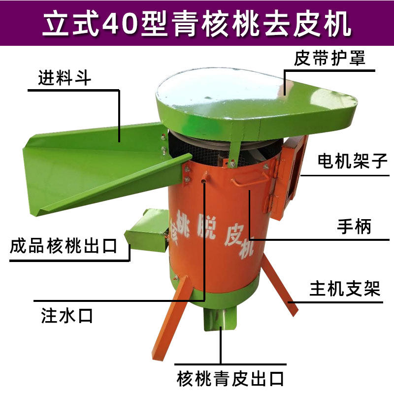 新款青皮核桃脱皮机小型鲜核桃扒皮机家用青核桃去皮清洗一体机