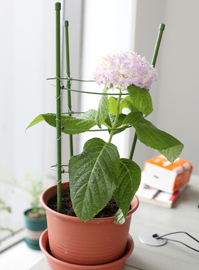 植物爬架 爬藤架 丝瓜架豆角架子黄瓜瓜架家用户外阳台花月季绿萝