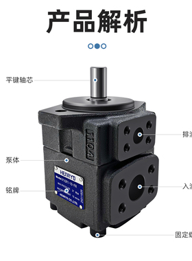 高压叶片油泵PV2R1-31 28 25 23 20 19 17 14 12 10 36 8 6-FR AA